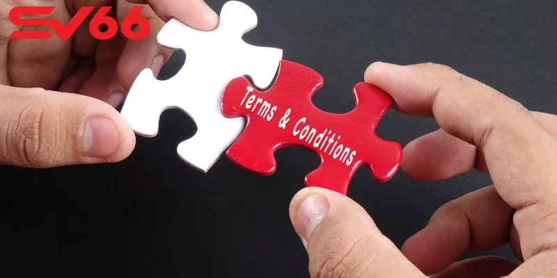 Hợp tác trách nhiệm giữa nhà cái và thành viên